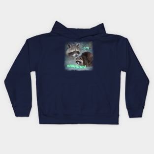 Trying Raccoon Meme Kids Hoodie